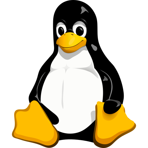 Linux VPS Hosting